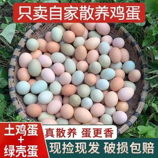 东阳市土鸡蛋
