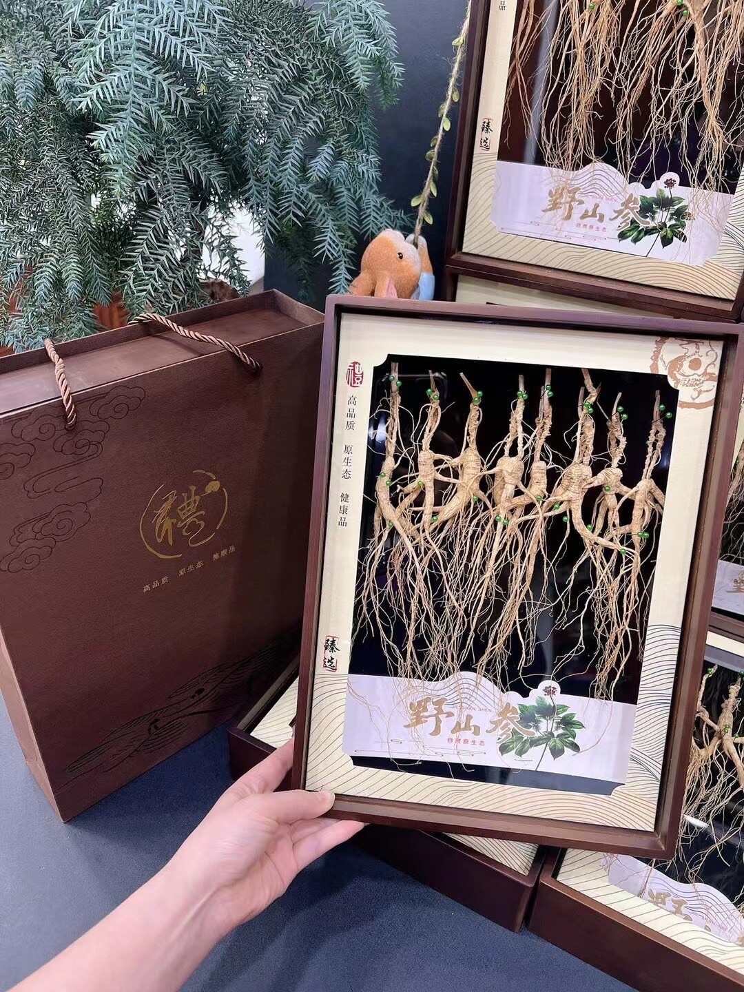 【现货实拍】精品林下播籽随手礼盒