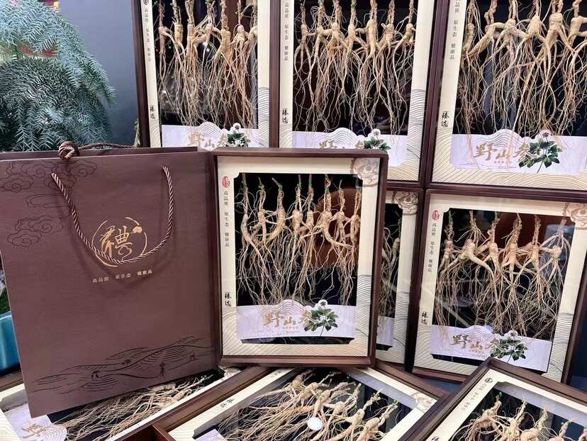 【现货实拍】精品林下播籽随手礼盒