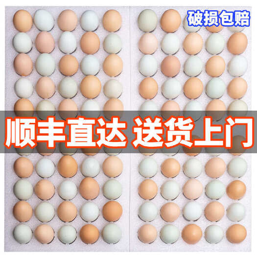 东阳市土鸡蛋