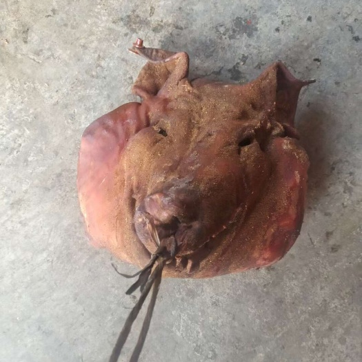 石门县冬至杀的农家散养的土猪，手工腌制，大柴火烟熏时间长，香味浓浓