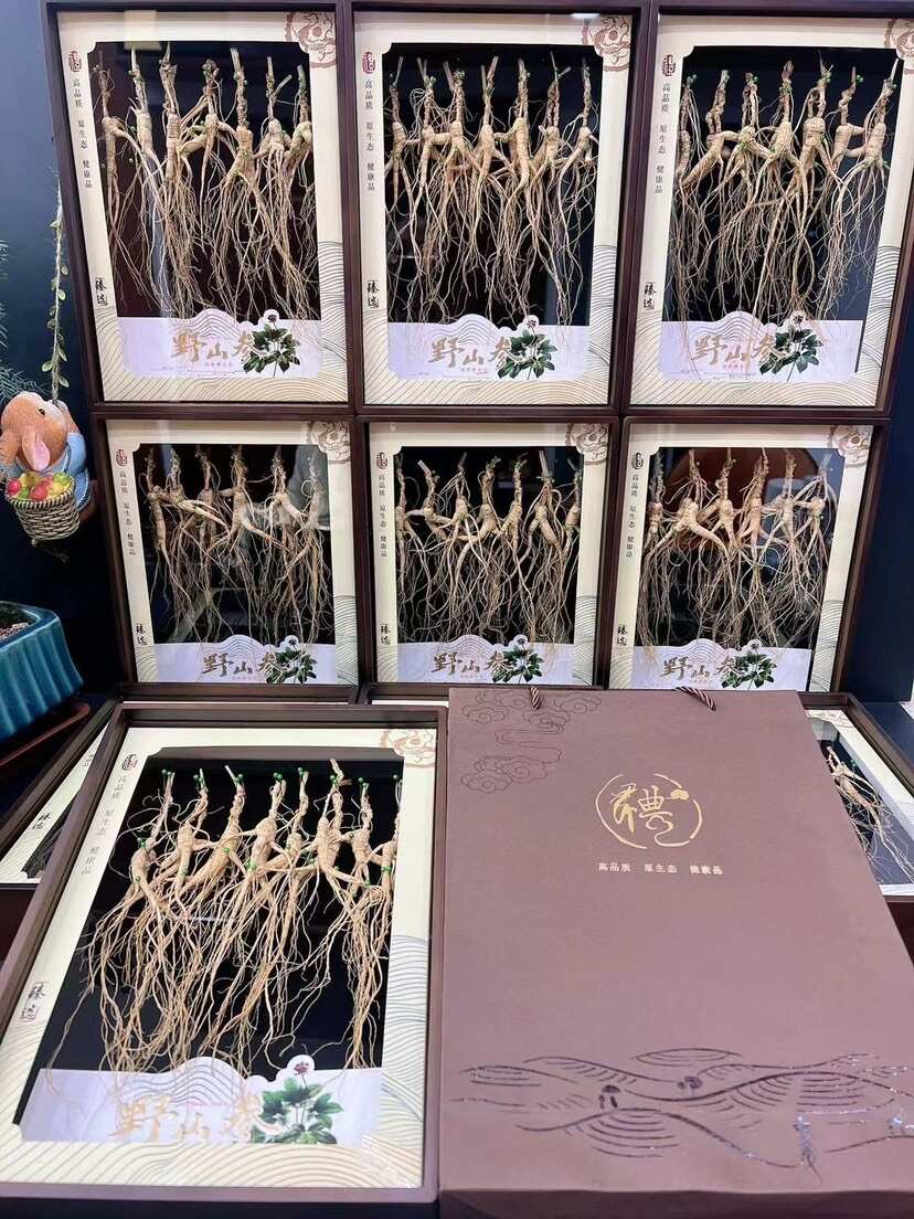 【现货实拍】精品林下播籽随手礼盒