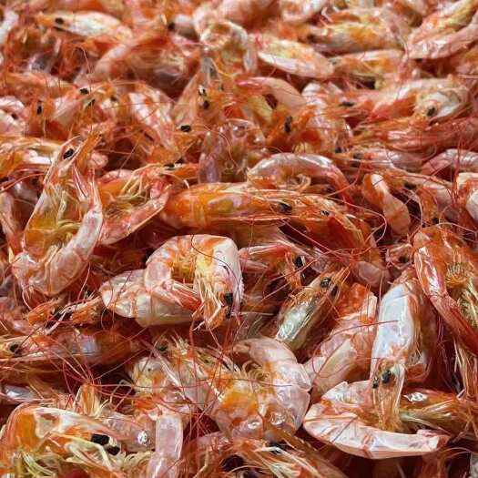 湛江小烤虾干白虾干南美虾干即食小烤虾干休闲零食一手货源厂家直供