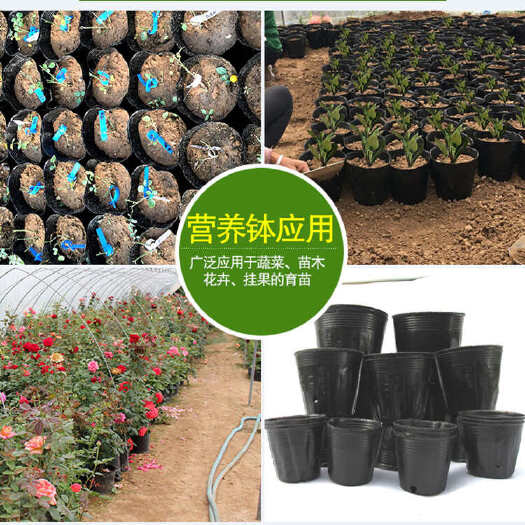 育苗袋/育苗杯/容器袋 各种型号营养钵育苗杯防老化育苗袋营养