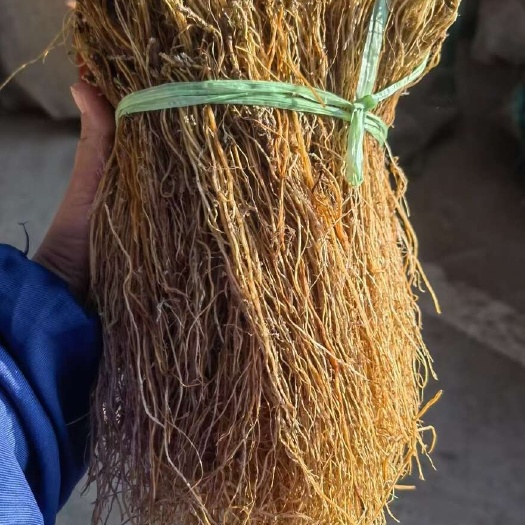 龙胆草  各种规格  产地直发