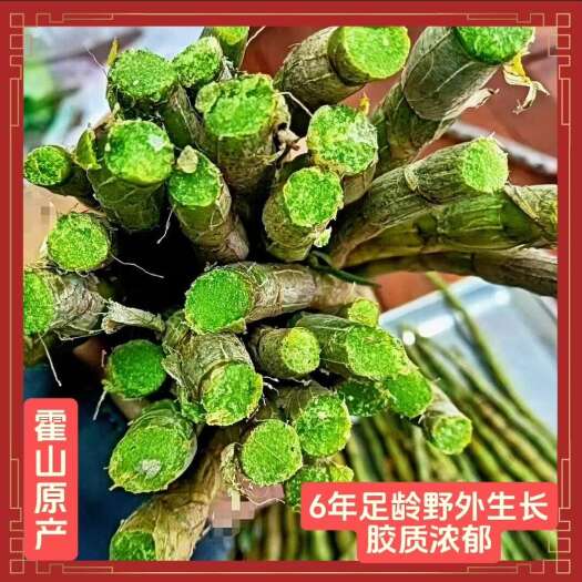 霍山县现摘安徽霍山铁皮石斛鲜条新鲜6年鲜石斛枫斗胶质浓郁