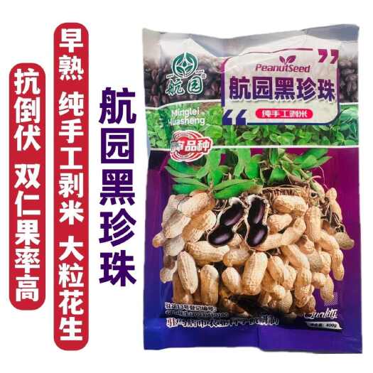 沭阳县航圆黑珍珠花生种子高产早熟大粒黑花生种子春夏大田用种手工剥米
