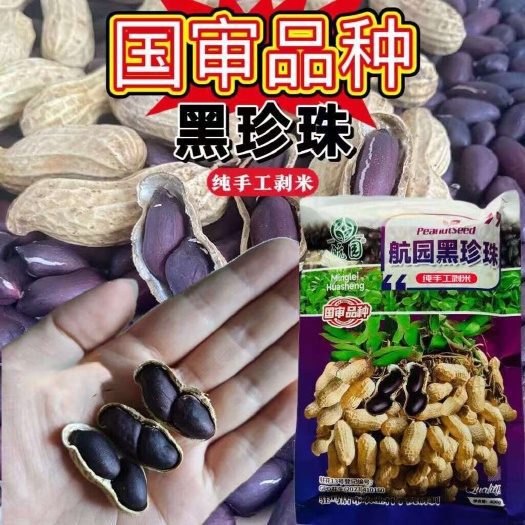 沭阳县航圆黑珍珠花生种子高产早熟大粒黑花生种子春夏大田用种手工剥米