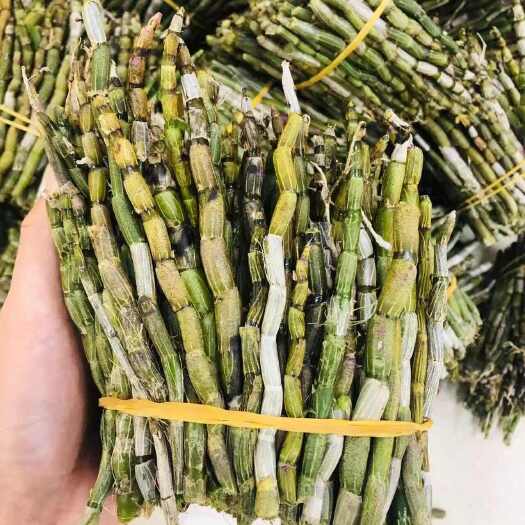 昆明精品铁皮石斛鲜条   现货秒发   质量保证 价格便宜