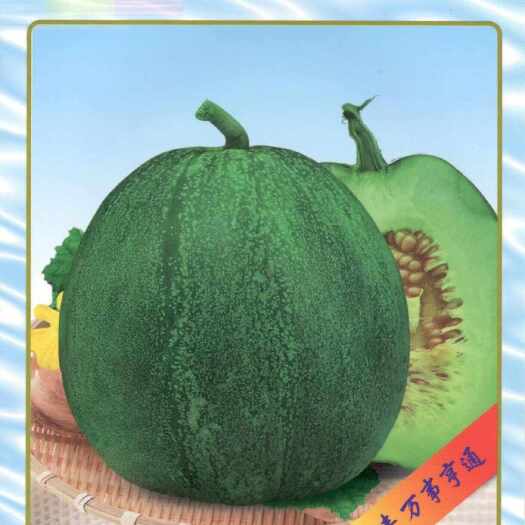 绿妃甜瓜种子10克/袋，景甜绿霸甜瓜种籽5克/袋