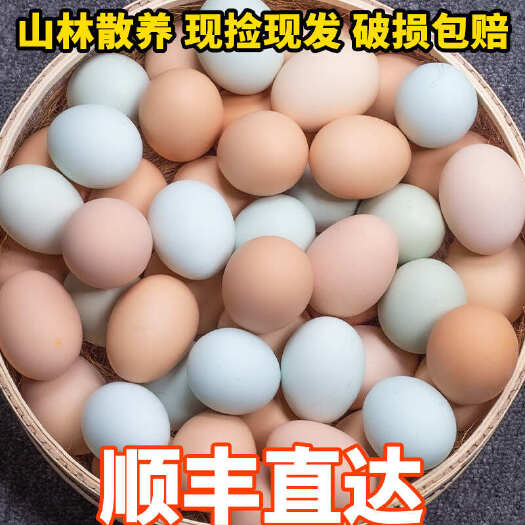 东阳市绿壳土鸡蛋