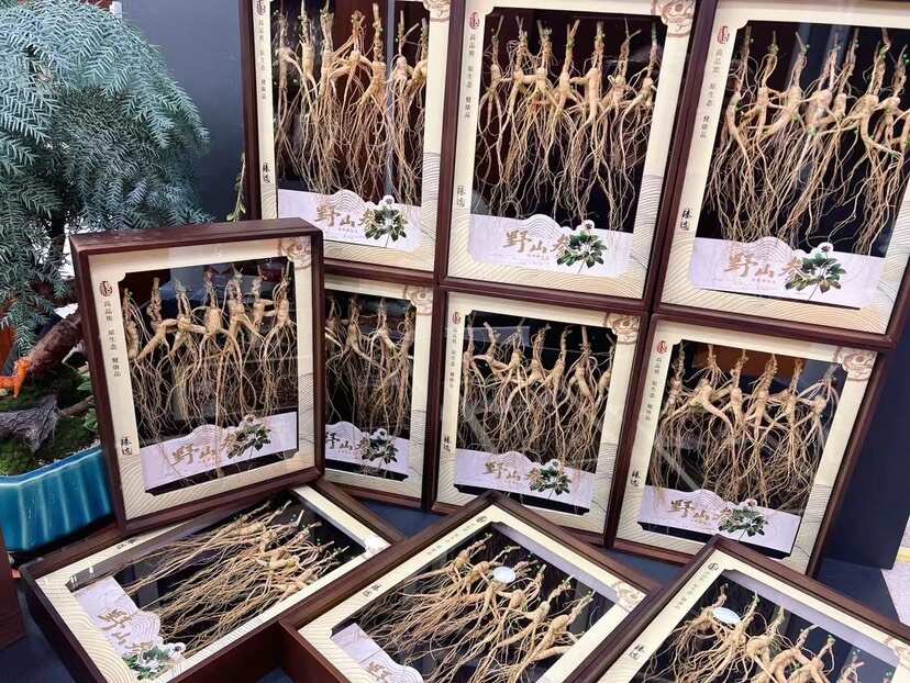 【现货实拍】精品林下播籽随手礼盒