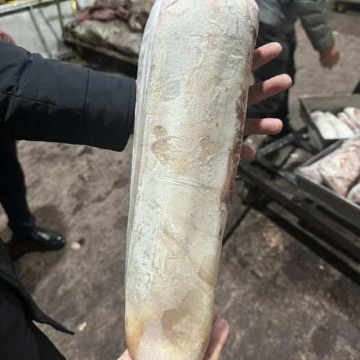 郑州国产纯干大牛舌