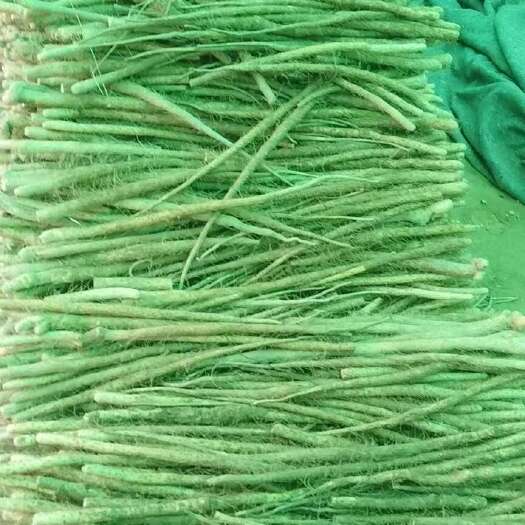 山西运城万荣新鲜山药优质根茎类蔬菜