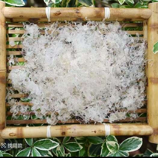 钟祥市拉丝雪燕龙须雪燕桃胶天然纯批发优质组合