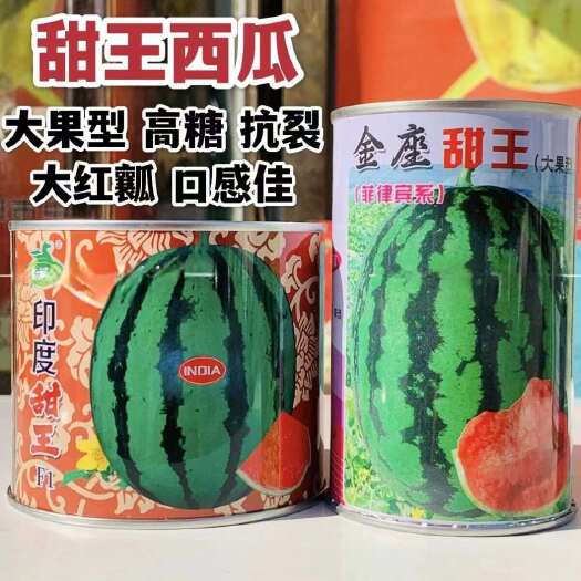 印度甜王西瓜种子菲律宾甜王西瓜种籽高产耐裂大红瓤西瓜种籽超甜