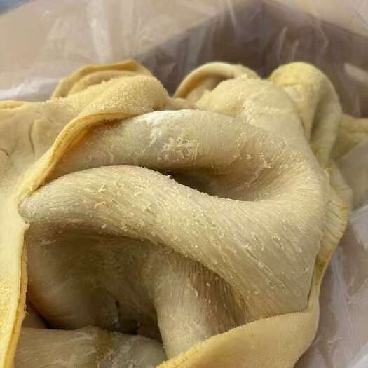 郑州五香熟牛肚，新鲜现煮，纯干无冰，精修无油，实拍图片，全国可发