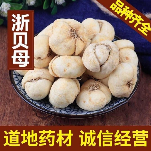 亳州浙江贝母一手货源