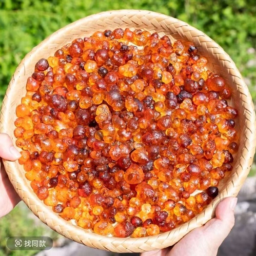云南老树桃胶雪燕皂角米组合装正品三宝