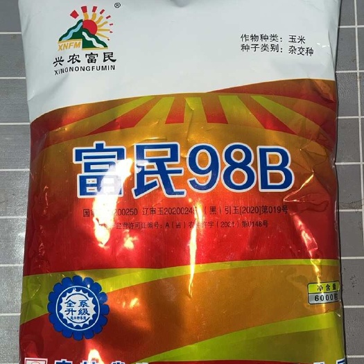 国审富民98B玉米种子矮杆大棒品种托水快抗旱耐涝不挑地产量好