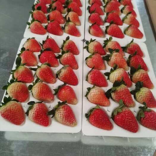 德昌县草莓