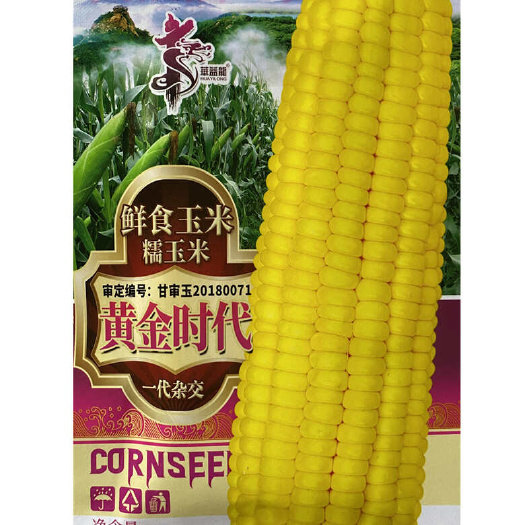 黄金时代糯玉米种子高产黄糯玉米种子大棒高产早熟玉米种籽