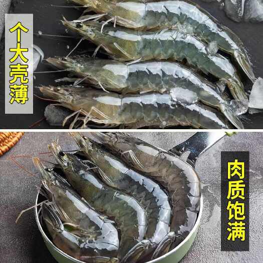 南京海捕大虾青虾鲜活新鲜特大号虾基围虾鲜虾整箱虾