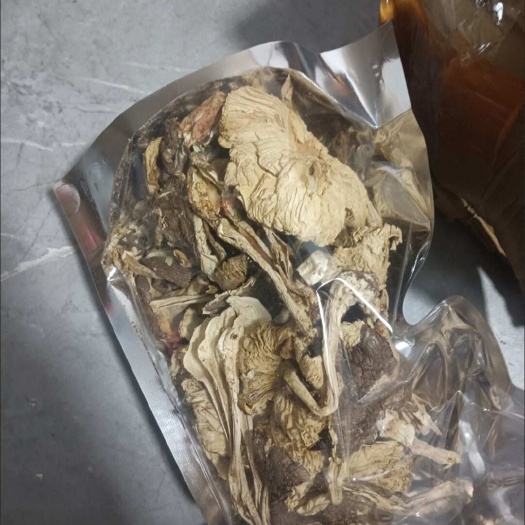 龙陵县白露干鸡枞