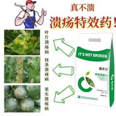 郑州真不溃果树柑橘溃疡病药腐烂病黑星病脐橙橙子火龙果专用药