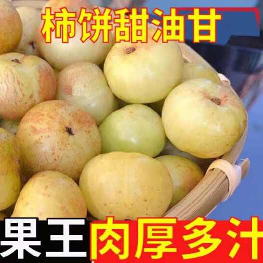 揭西县潮汕特产崩坎甜油甘，余甘果，回甘回甜