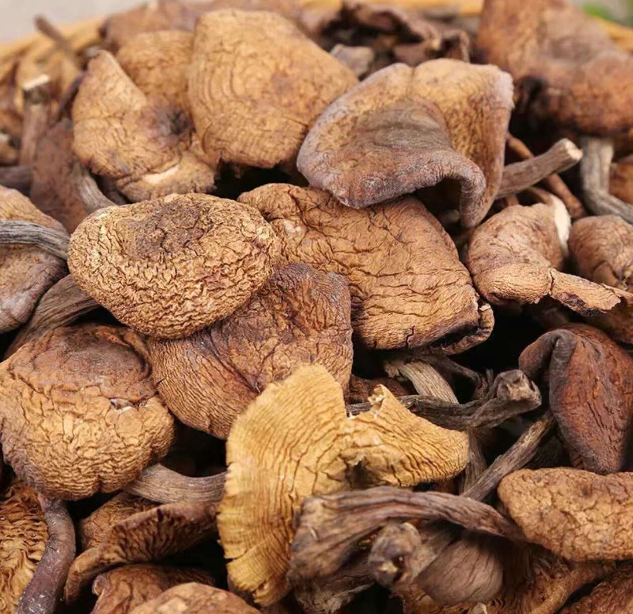 榛蘑东北野生蘑菇长白山特产农家干货