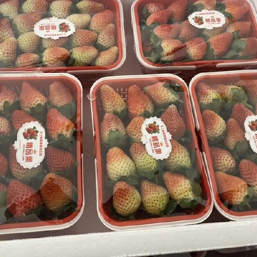 楚雄市五合一草莓，各种包装冬草莓；