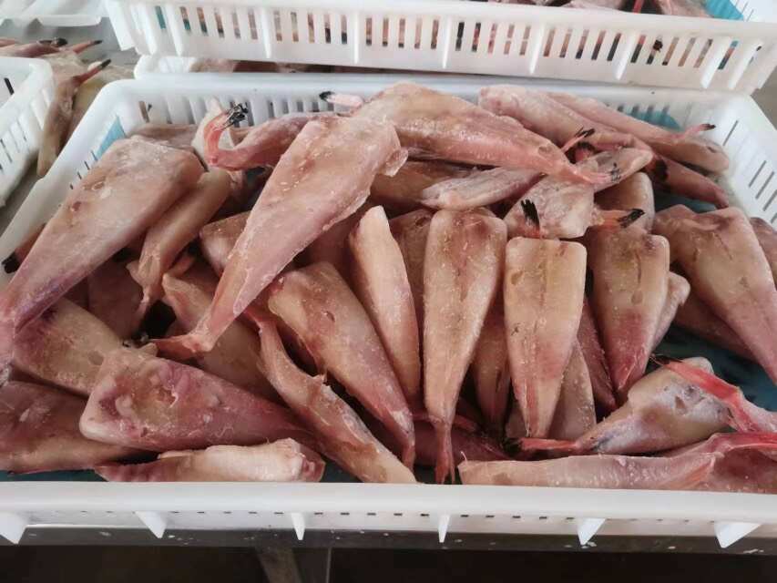 安康鱼尾安康鱼肘安康鱼新鲜鱼尾可食用长条冷冻特大号鱼肘大杂烩