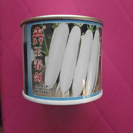 玉溪白萝卜种子