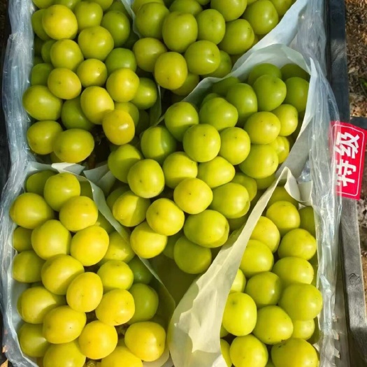 盖州市皮薄，不空心， 口甜，熏甜带香味
