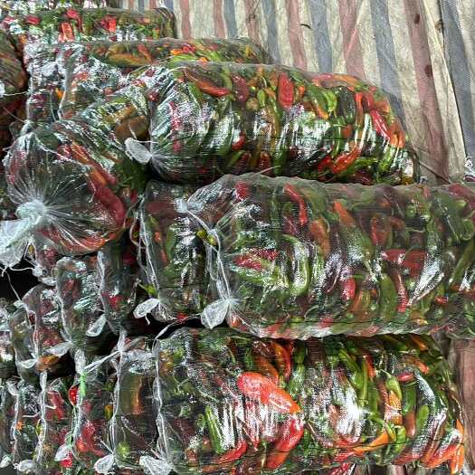 芜湖彩椒，红椒，等各类辣椒