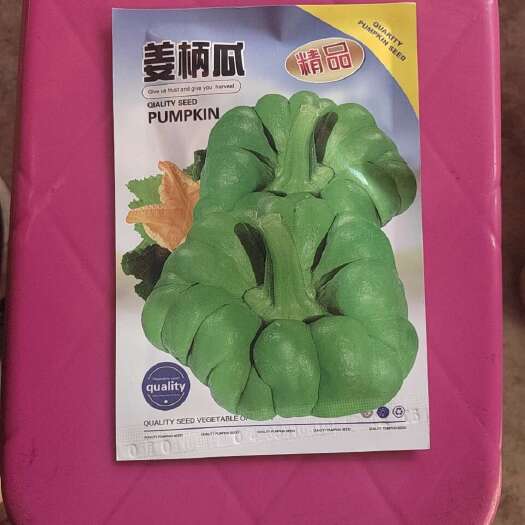 姜柄瓜种子