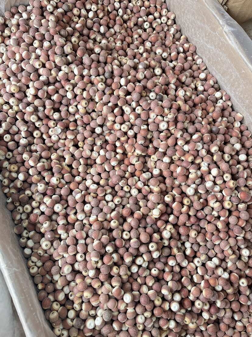 芡实【精品】无硫熏芡实干货芡实食用煮粥煲汤中草药材