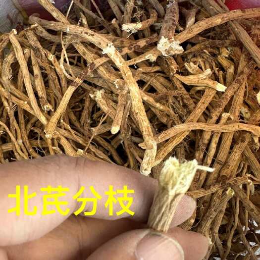 浑源县山西黄芪北芪浑源黄芪嘢生黄芪去龙头后剩余龙眼分枝