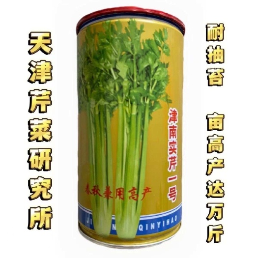 安仁县津南实芹芹菜种子罐装实芹菜蔬菜种子芹菜研究所罐装80克包邮发