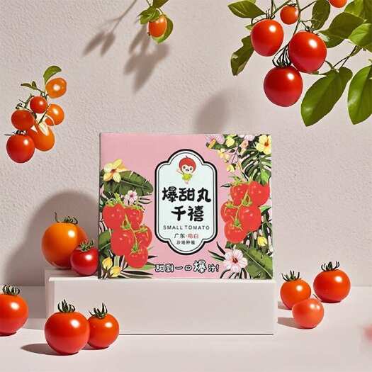 东莞市现货广东电白圣女果包装盒千禧小番茄天地盖礼盒厂家直销