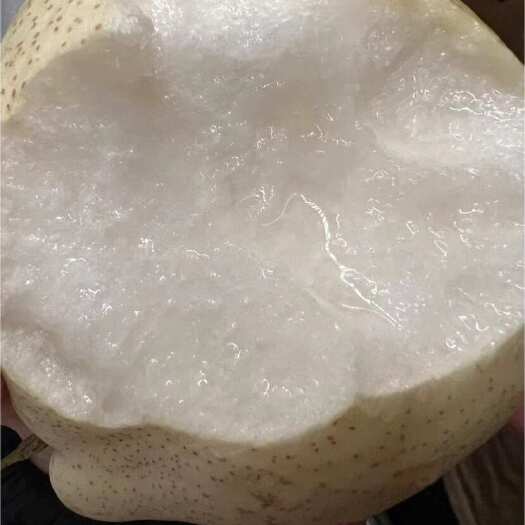 菏泽曹州大酥梨