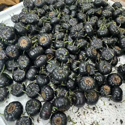 马关县精品红果参，富含丰富花青素