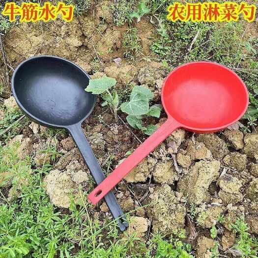 宜昌红茶  绿茶
