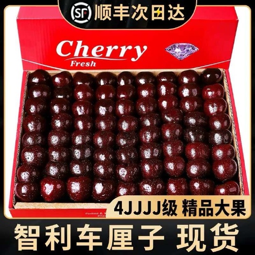 【顺丰包邮】智利车厘子一件代发档口直发桑缇娜5斤原箱