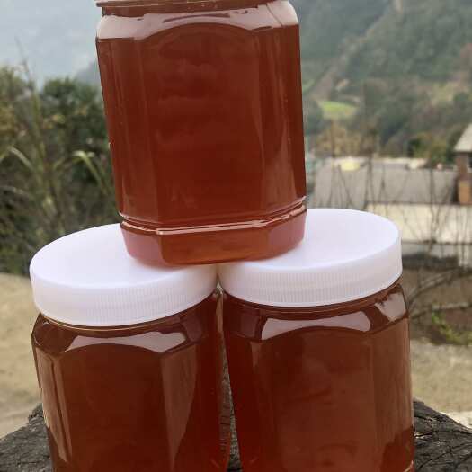望谟县贵州天然野生蜂蜜  百花蜂蜜  土蜂蜜