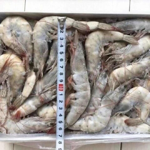 连云港一件代发，挂冰大虾，大量有货