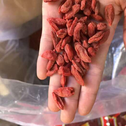 昆明枸杞，优质好货，一手货源，质量保证，量大价优