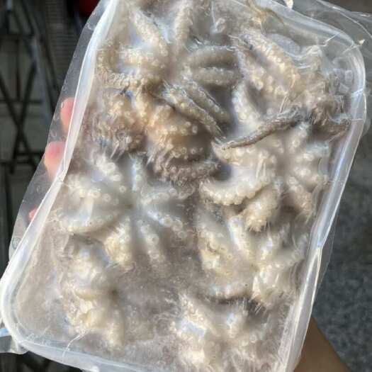 东山县八爪鱼冷冻章鱼涝汁海鲜小章鱼生鲜海鲜火锅商用 原料14一斤