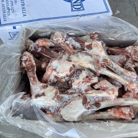 河间市217𠂆大羊后腿骨